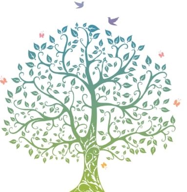 Cropped Screenshot 2025 07 12 19 48 11 32